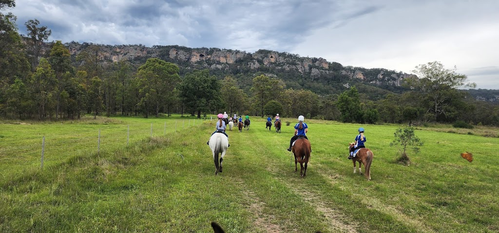 YellowScone Horse Adventures | 97 Petwyn Vale Road, Wingen NSW 2337, Australia | Phone: 0417 387 546