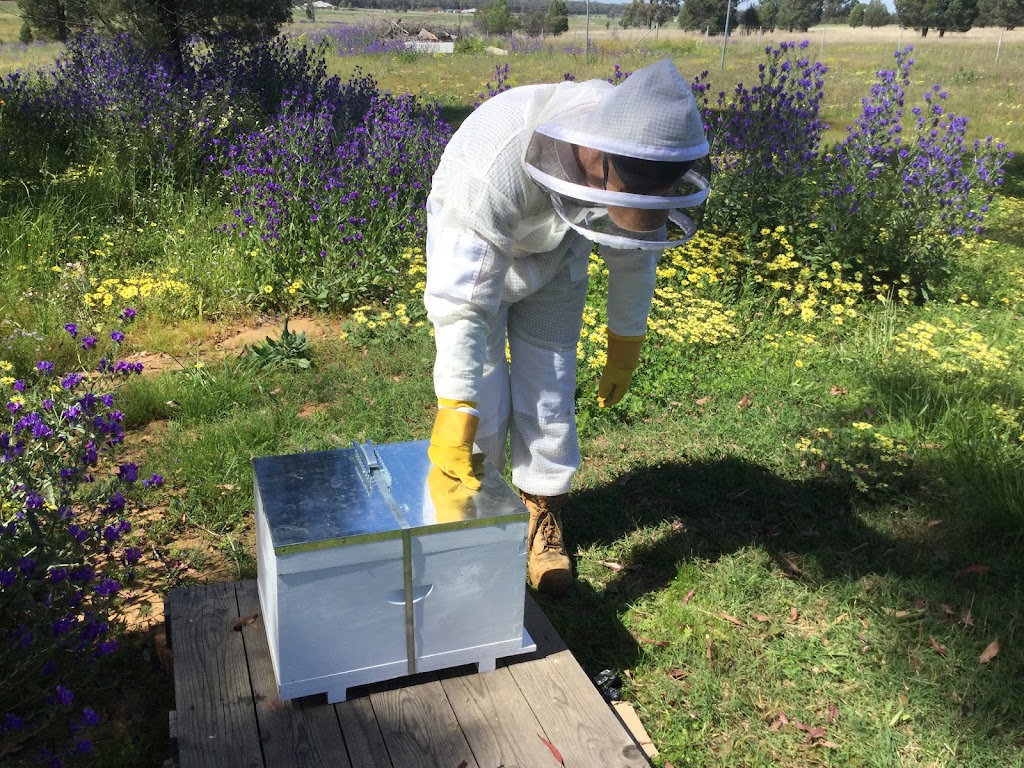 Whylandra Bee Park | 2L Delroy Rd, Dubbo NSW 2830, Australia | Phone: 0429 841 558