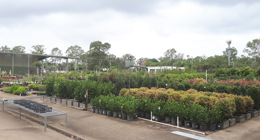 Nursery Traders | 100 Tinchborne St, Chandler QLD 4155, Australia | Phone: (07) 3390 1700