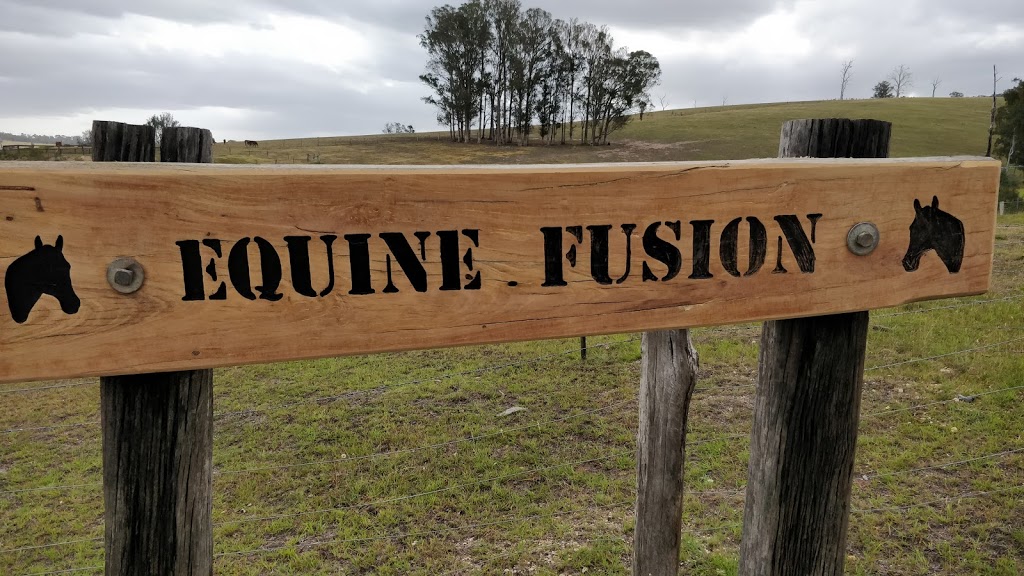 Equine Fusion | 4 Pitt Ln, Sarsfield VIC 3875, Australia | Phone: 0401 603 050