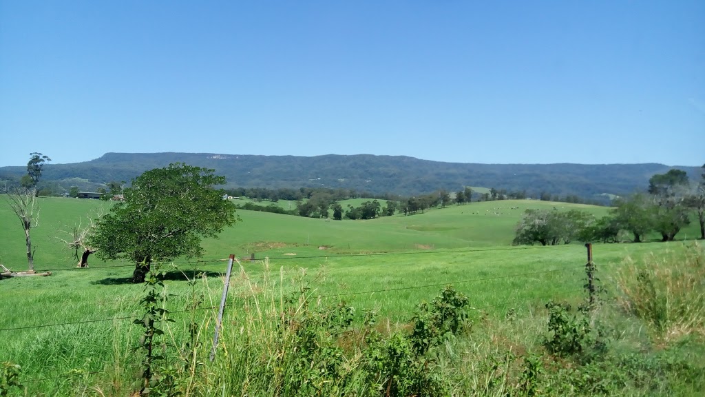 Fairy Frocks | Churchill St, Jamberoo NSW 2533, Australia | Phone: 0439 464 586