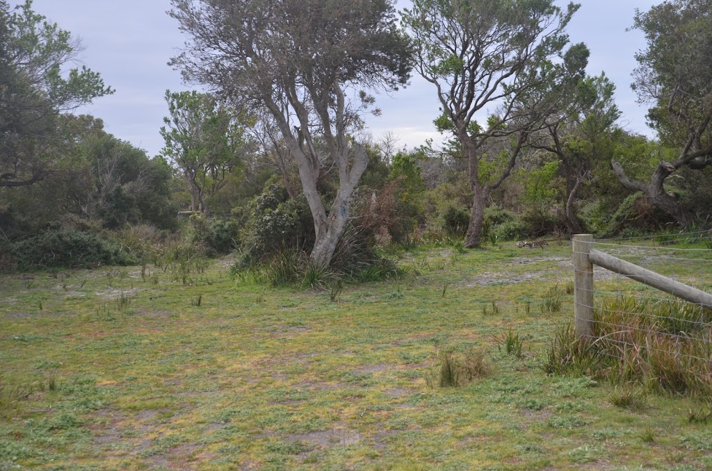 Policemans Point | campground | South Ansons Road, Ansons Bay TAS 7264, Australia