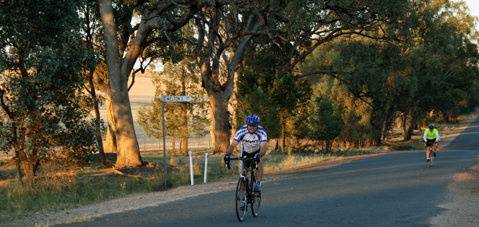 Hanericka Farmstay | lodging | Mcrories Rd & Adams Line, Yerong Creek NSW 2642, Australia | 0269203709 OR +61 2 6920 3709