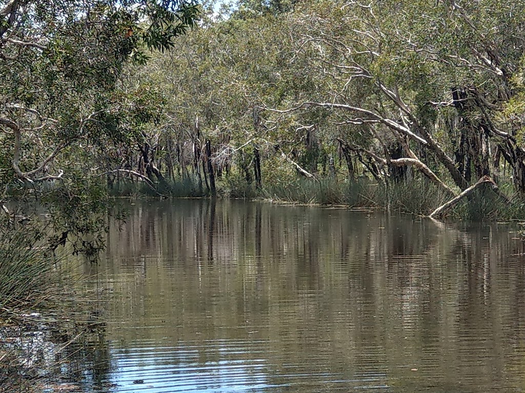 Wongi Waterholes Camping Area | Duckinwilla QLD 4650, Australia