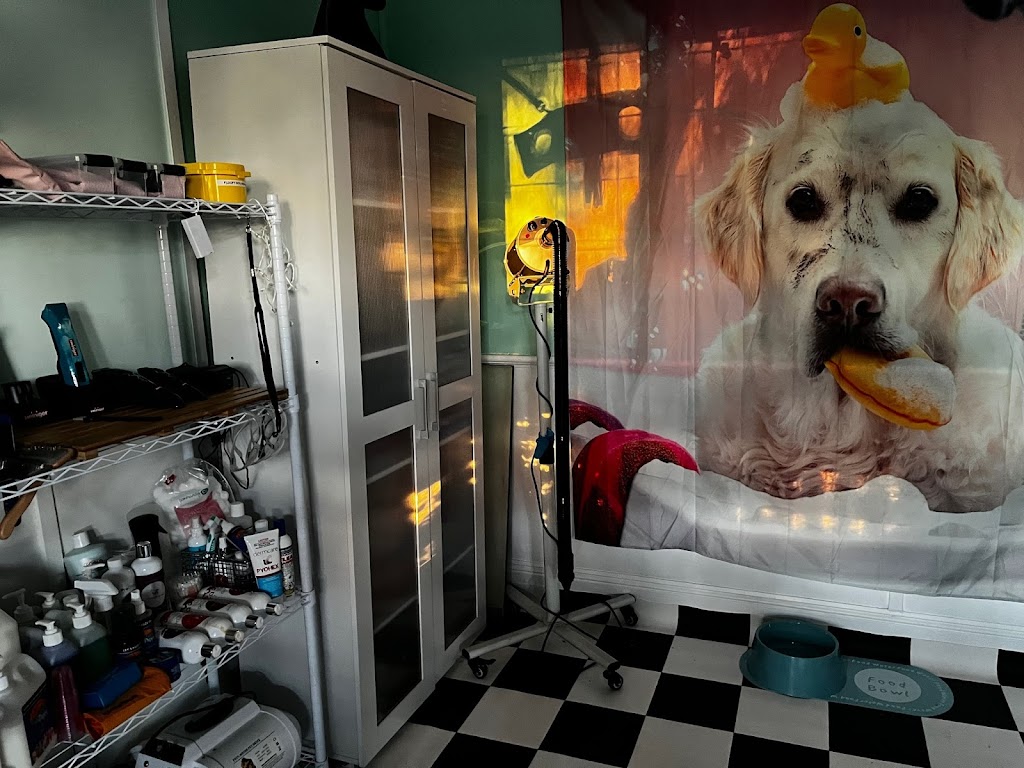 Floofy Dog grooming | 70 Lexton Rd, Strathfieldsaye VIC 3551, Australia | Phone: 0460 879 596