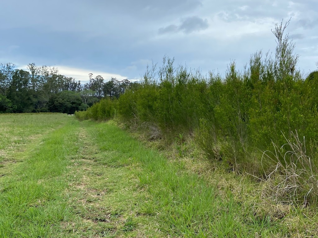 Aussie Bush Aromas | 11 Commerce St, Wauchope NSW 2446, Australia | Phone: (02) 6588 9600