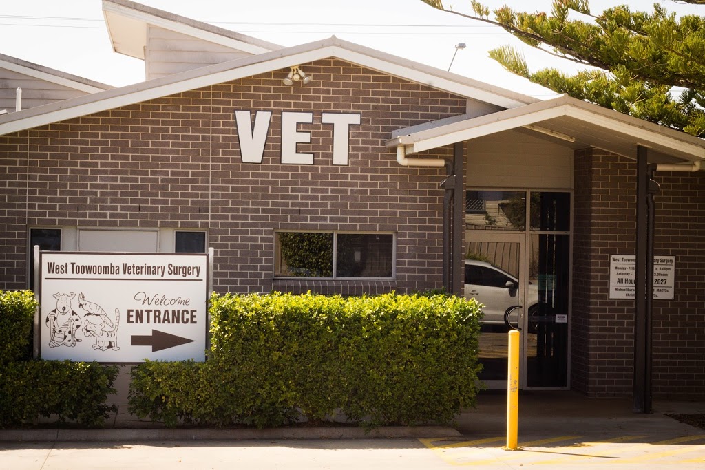 West Toowoomba Veterinary Surgery | veterinary care | 357 West St, Harristown QLD 4350, Australia | 0746362027 OR +61 7 4636 2027