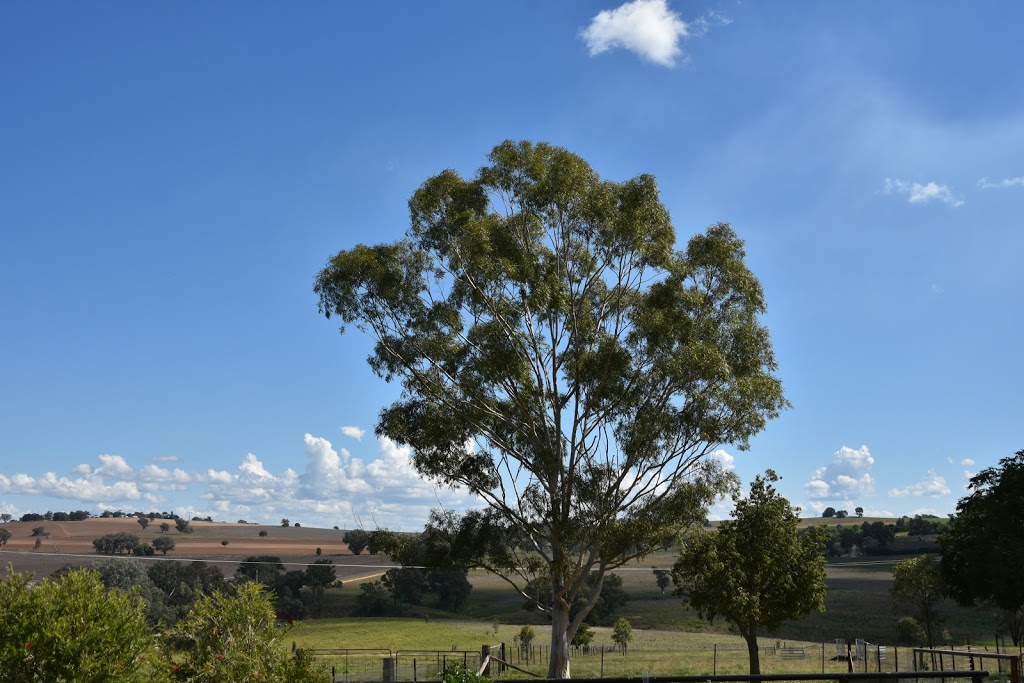 DCs Madra Country Accommodation | lodging | 107 Dorset Ln, Cowra NSW 2794, Australia | 0423783808 OR +61 423 783 808