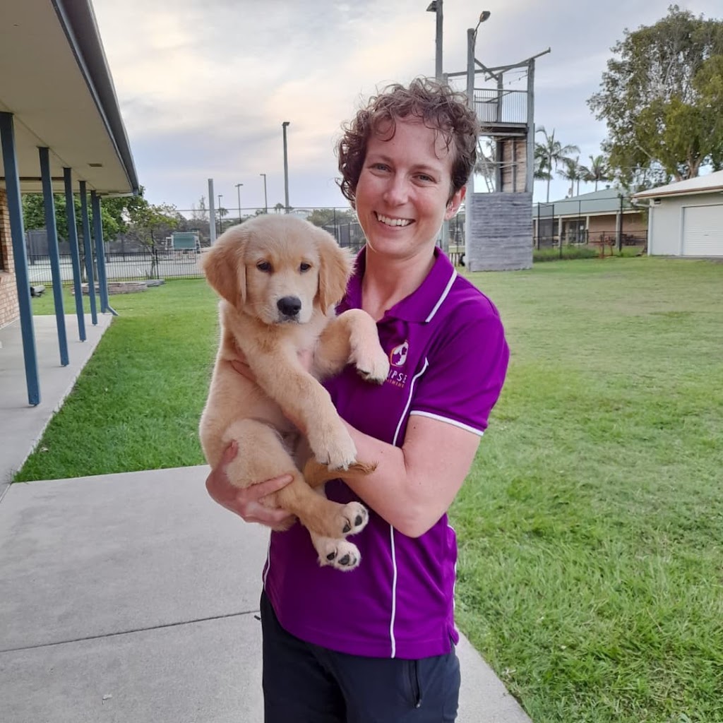 Eclipse Dog Training |  | Lowanna Dr, Buddina QLD 4575, Australia | 0493092654 OR +61 493 092 654