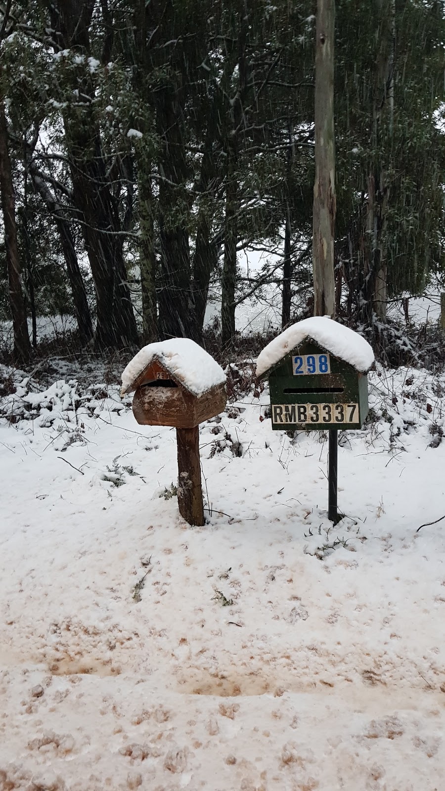 Hidden Trails by Horseback | travel agency | 462 Bunstons Rd, Tolmie VIC 3723, Australia | 0357769867 OR +61 3 5776 9867