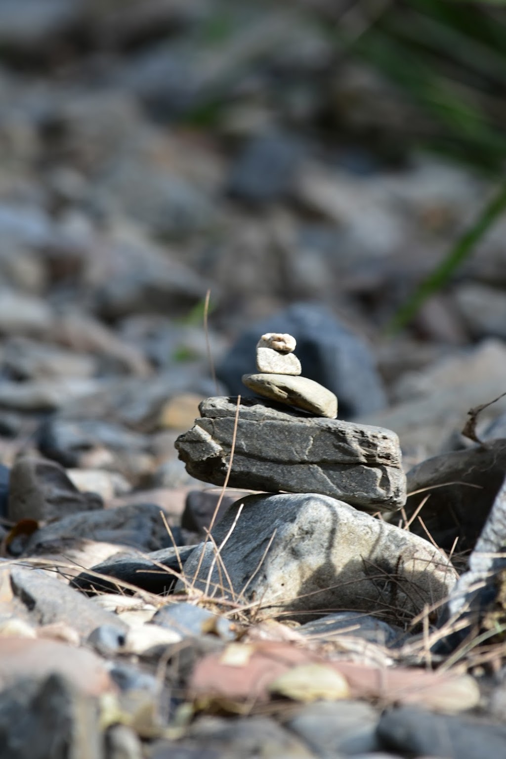 Chaelundi National Park | Chaelundi NSW 2460, Australia