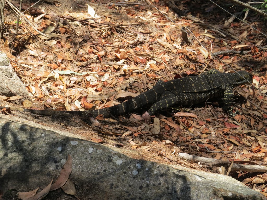Biamanga National Park | Murrah NSW 2546, Australia
