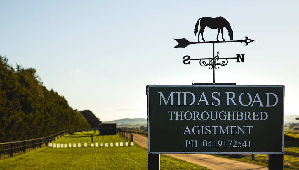 Midas Road Thoroughbred Horse Agistment |  | Midas Rd, Miners Rest VIC 3352, Australia | 0419172541 OR +61 419 172 541