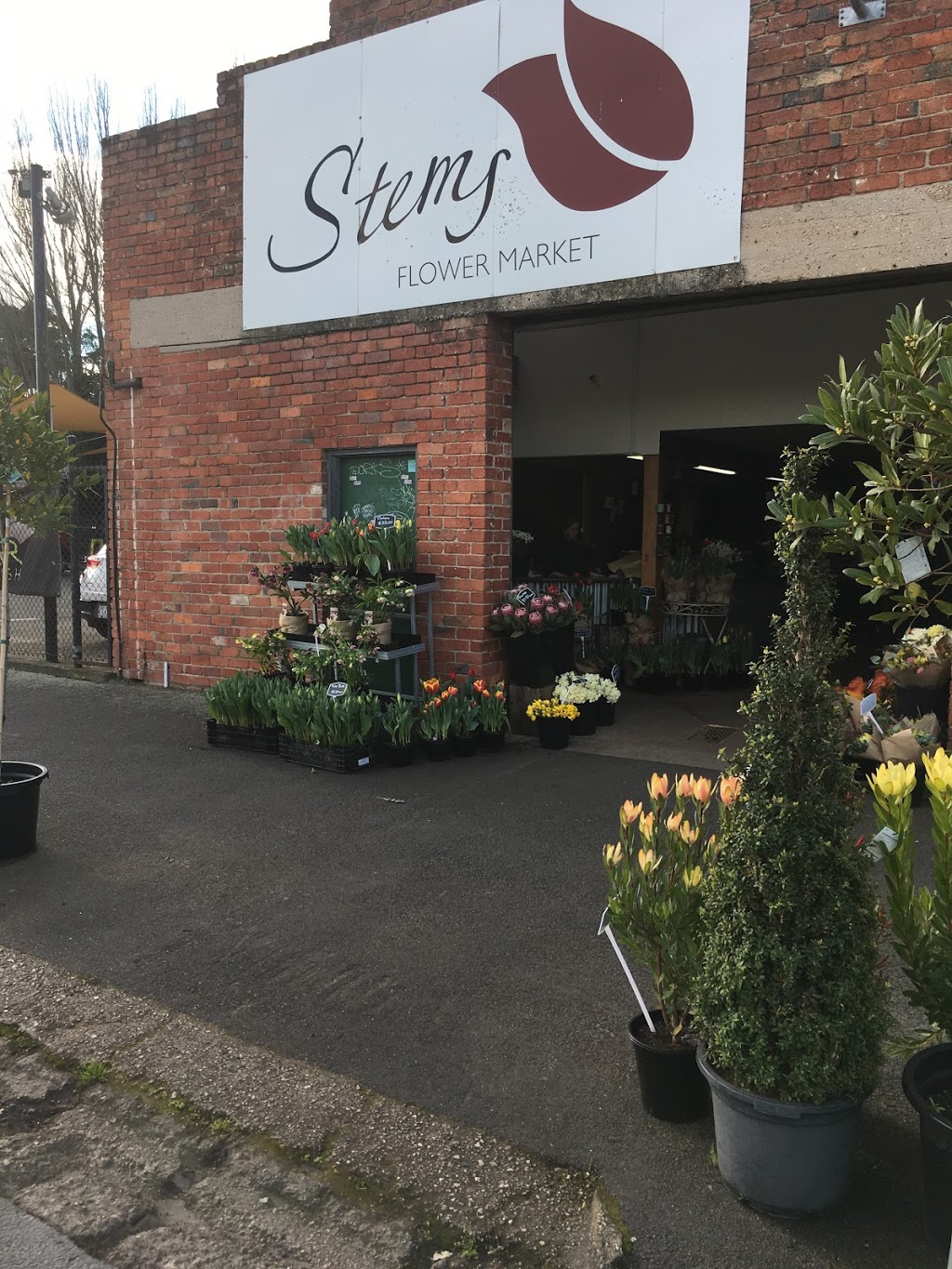 Stems Flower Market | florist | 7 Mair St E, Ballarat Central VIC 3350, Australia | 0353344284 OR +61 3 5334 4284
