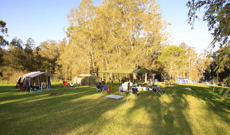 Violet Hill campground and picnic area | campground | Violet Hill Road, Violet Hill NSW 2423, Australia | 0265910300 OR +61 2 6591 0300