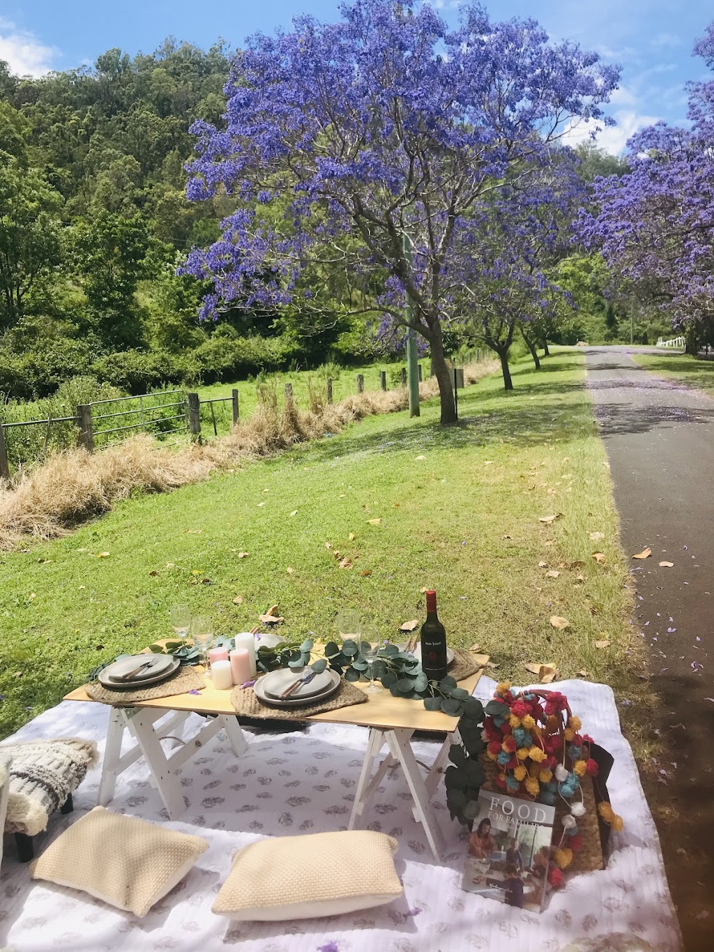 Jolly Jacaranda | 17 Colvin Rd, Canungra QLD 4275, Australia | Phone: 0403 685 505