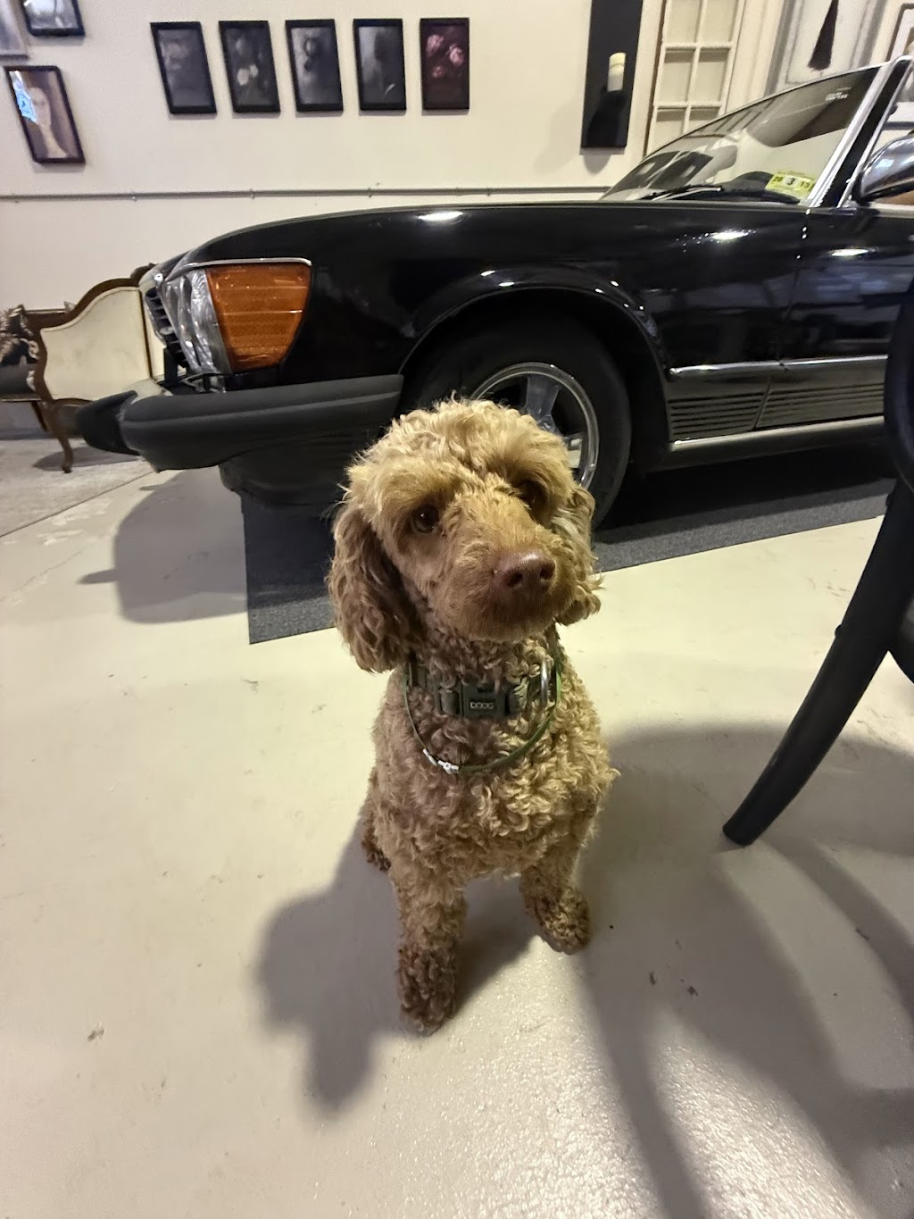 Sondara Estate | 352 Woodlands Rd, Woodlands NSW 2575, Australia | Phone: 0411 582 991