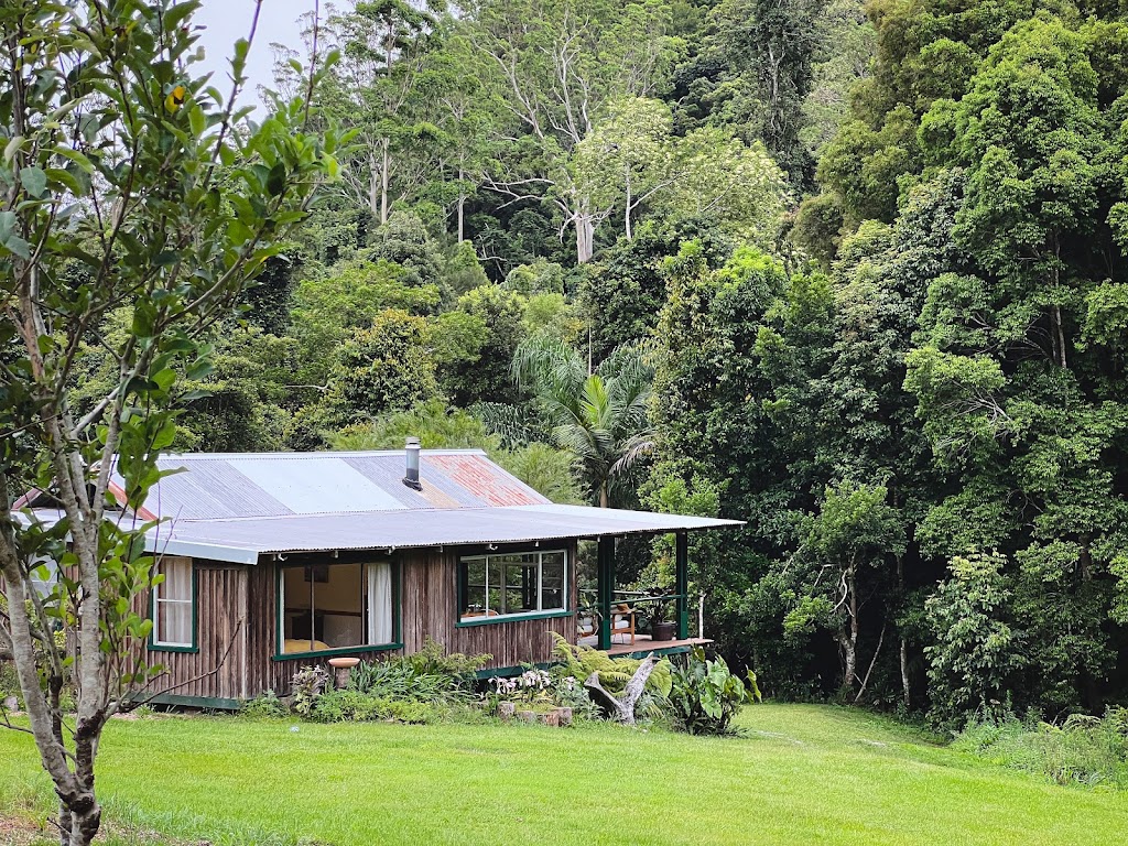 Rainbow Creek | 1257 Kalang Rd, Kalang NSW 2454, Australia | Phone: 0481 258 458