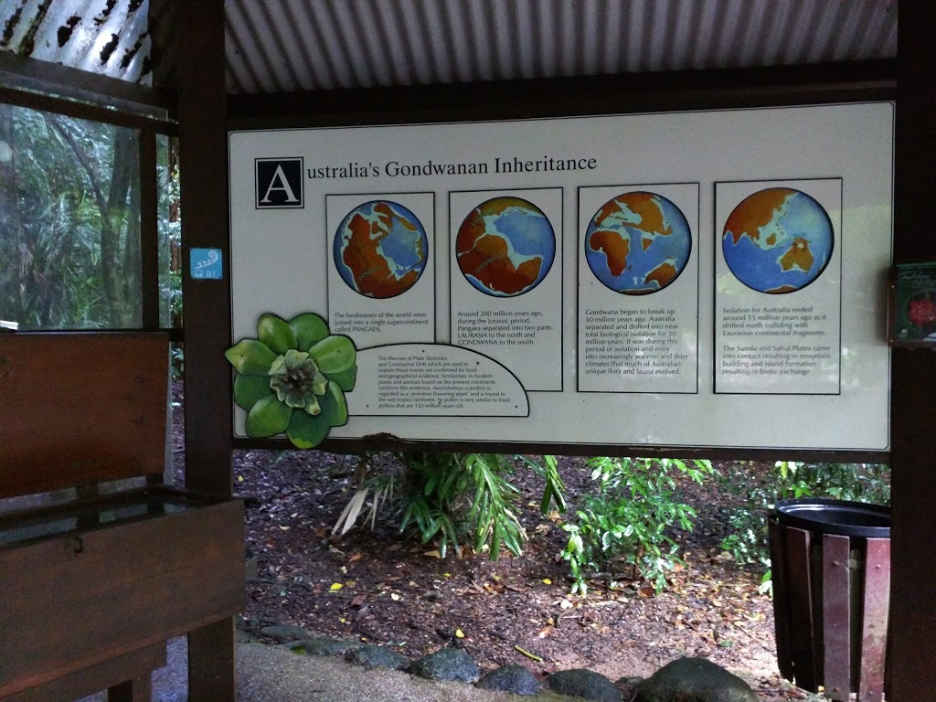 Gondwanan Evolution Garden | Whitfield QLD 4870, Australia | Phone: (07) 4032 6650