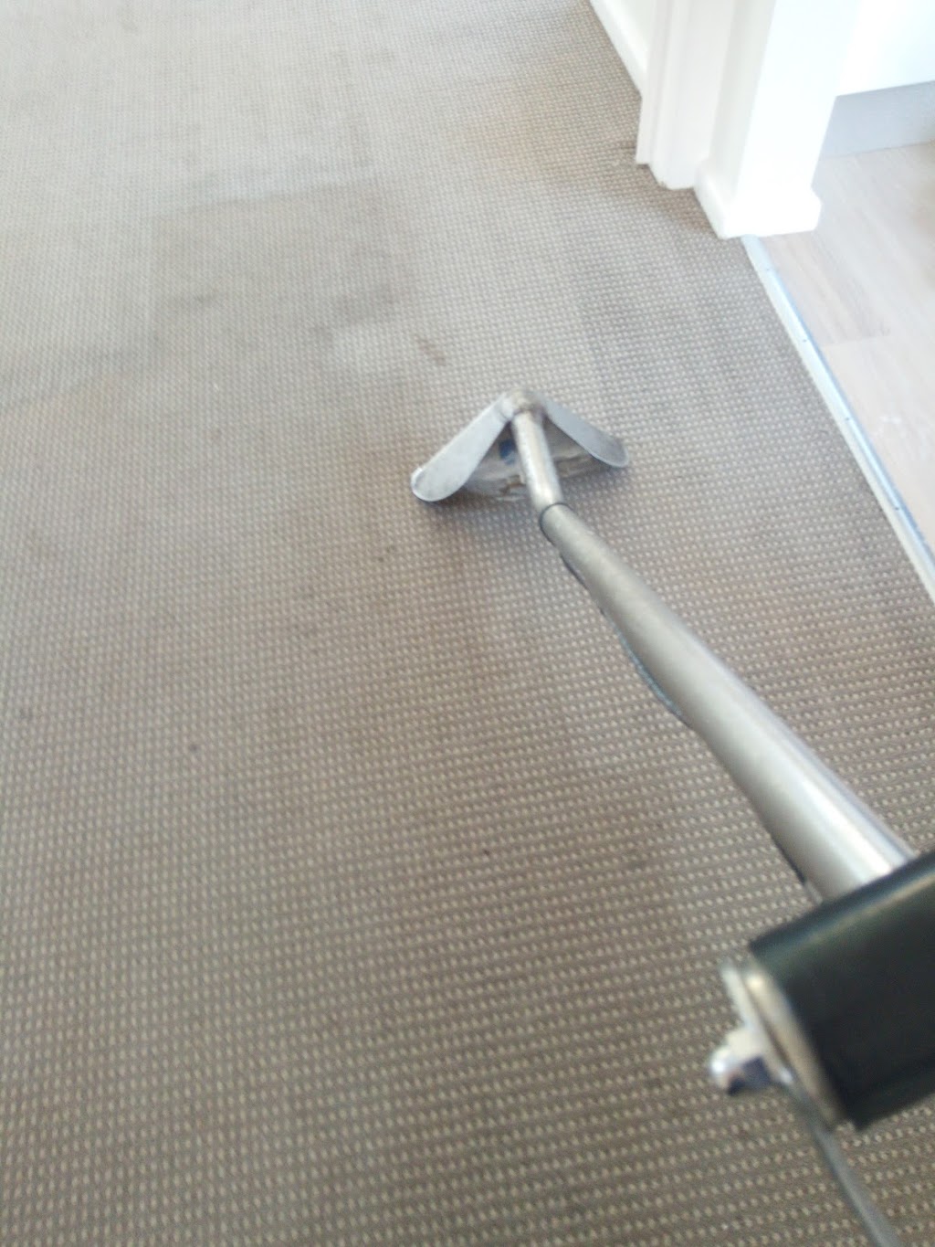 Derek Jeanneret Carpet Cleaning | 237 Macpherson St, Warriewood NSW 2102, Australia | Phone: 0411 180 495