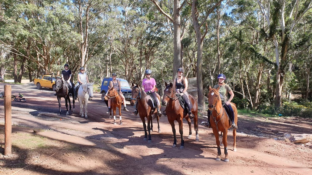 Otford Valley Farm | Lady Carrington Road, Otford NSW 2508, Australia | Phone: 0414 875 989