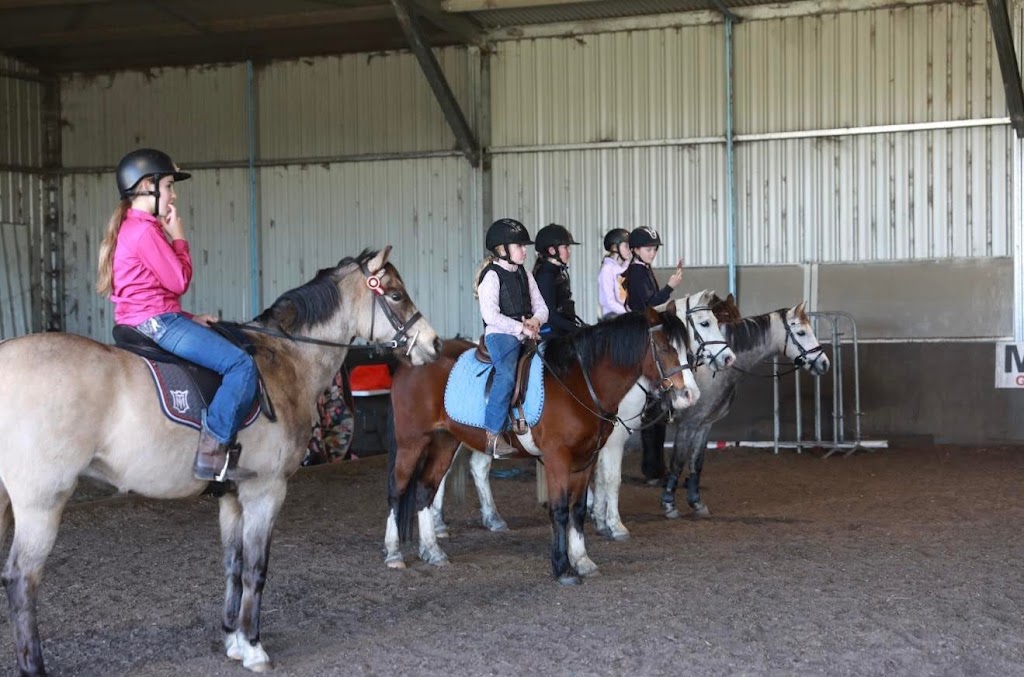 M & L Equestrian | 1171 Nowra Rd, Fitzroy Falls NSW 2577, Australia | Phone: 0402 218 470