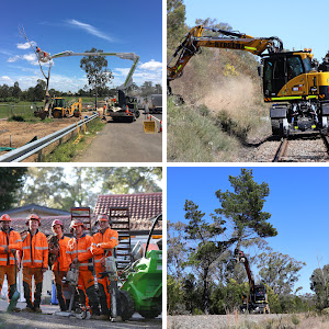 TreeLink Northern Rivers | 48 Orana Rd, Ocean Shores NSW 2483, Australia | Phone: 0499 550 396