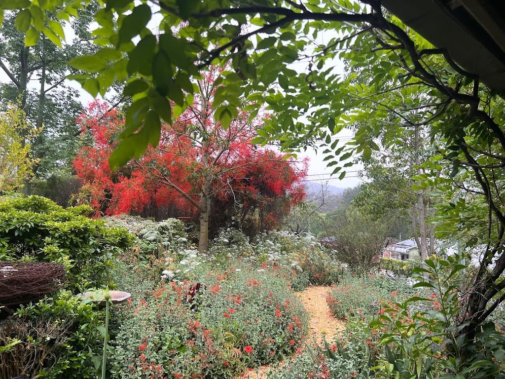 The Rustic Nest Yarramalong | 1614 Yarramalong Rd, Yarramalong NSW 2259, Australia | Phone: (02) 4356 1066