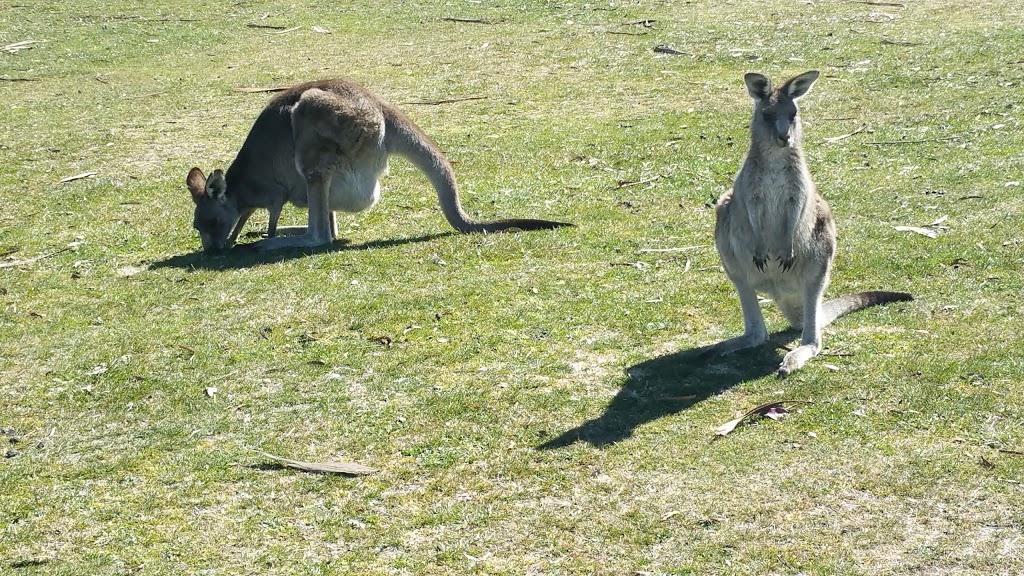 Lithgow Golf Club | 2 Golf Links Rd, Marrangaroo NSW 2790, Australia | Phone: (02) 6351 3164