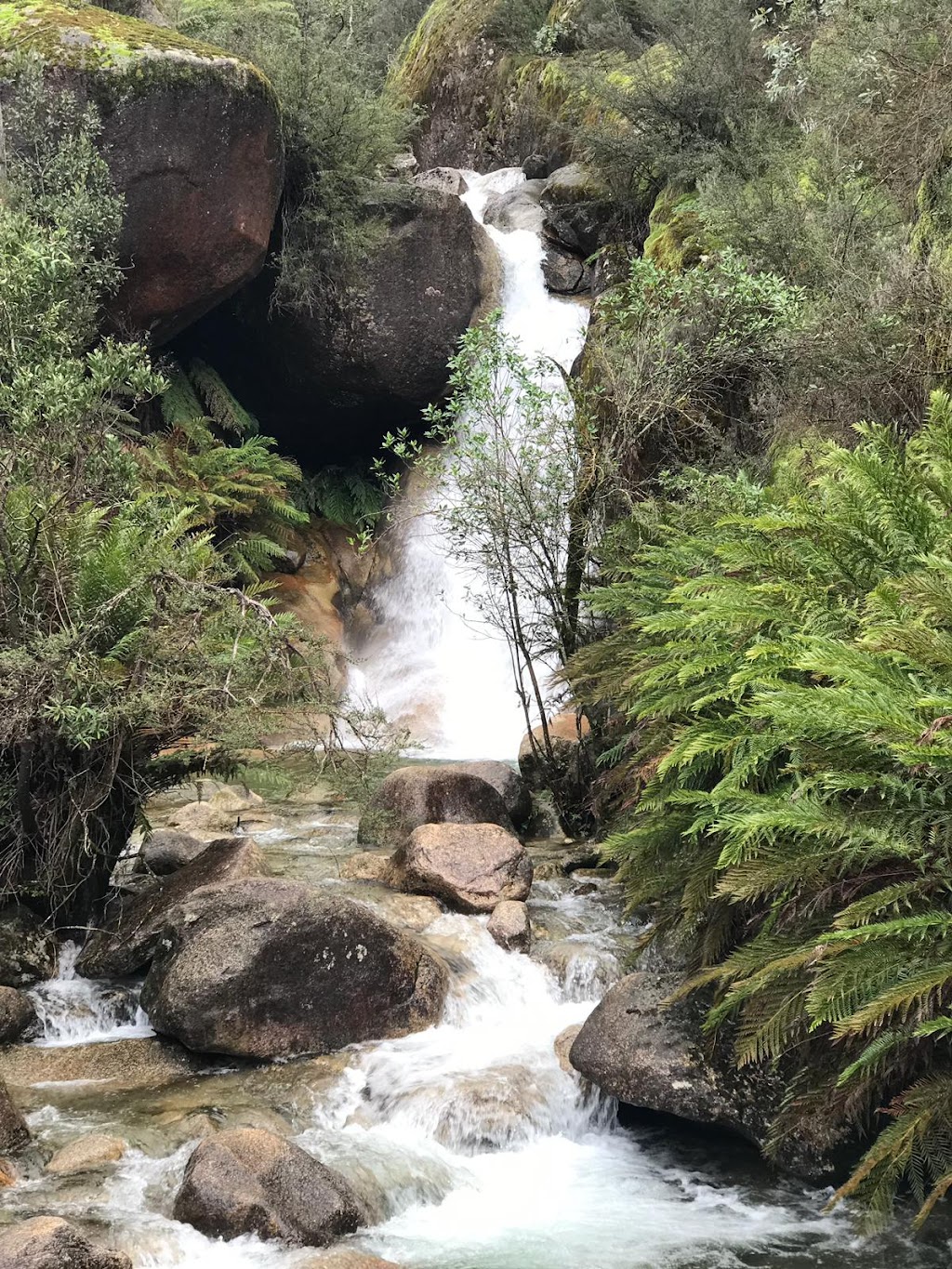Waterfall Gully Nursery |  | 110 Graydens Rd, Moorooduc VIC 3933, Australia | 0359794788 OR +61 3 5979 4788