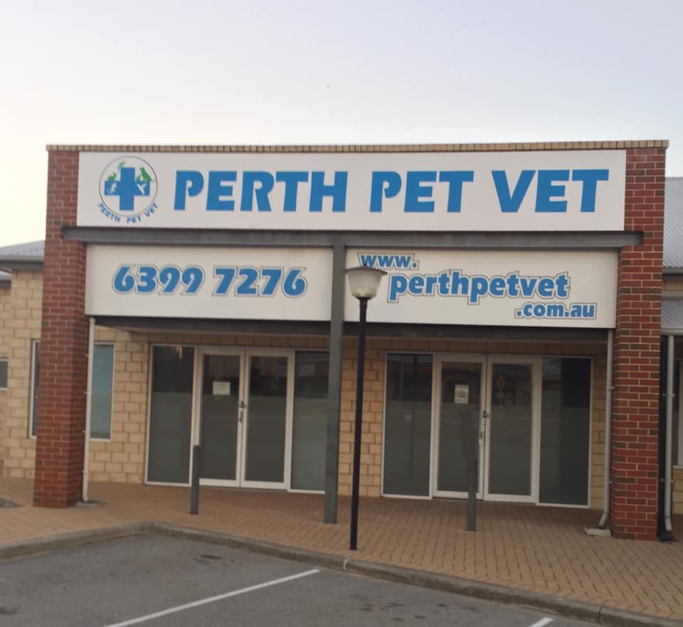 Perth Pet Vet | veterinary care | Unit 12/233 Berrigan Dr, Jandakot WA 6164, Australia | 0863997276 OR +61 8 6399 7276
