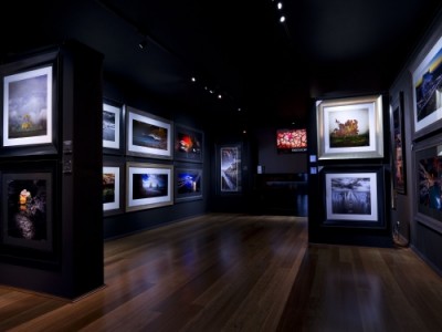 Will Dielenberg Galleries | art gallery | 14/148-174 Mountjoy Parade, Lorne VIC 3232, Australia | 0352895000 OR +61 3 5289 5000
