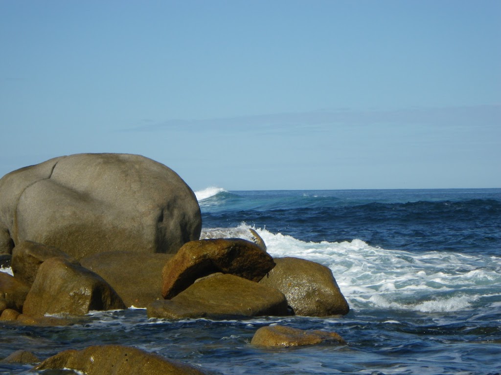 Seal haven | South Australia 5690, Australia | Phone: 0428 253 000