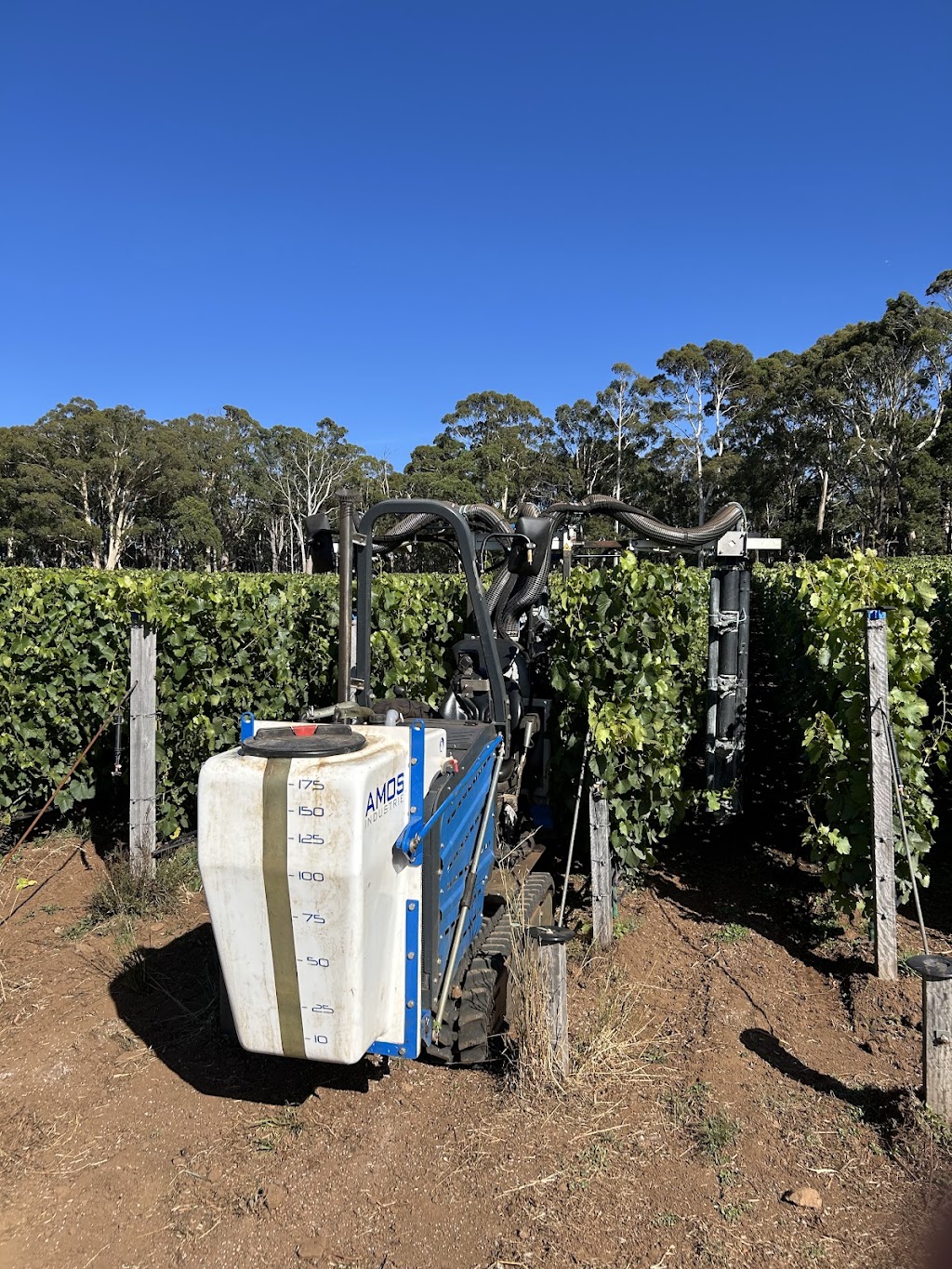 Clarries Track | 20 Donald Lane, Newbury VIC 3458, Australia | Phone: 0419 682 391