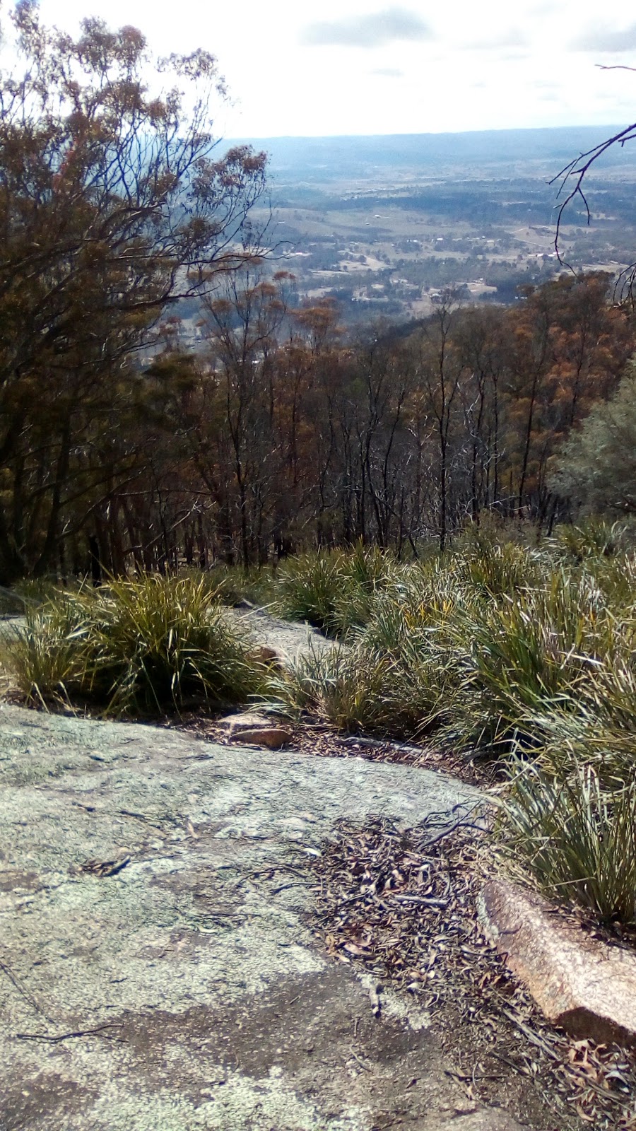 Mount MacKenzie Nature Reserve | Tenterfield NSW 2372, Australia