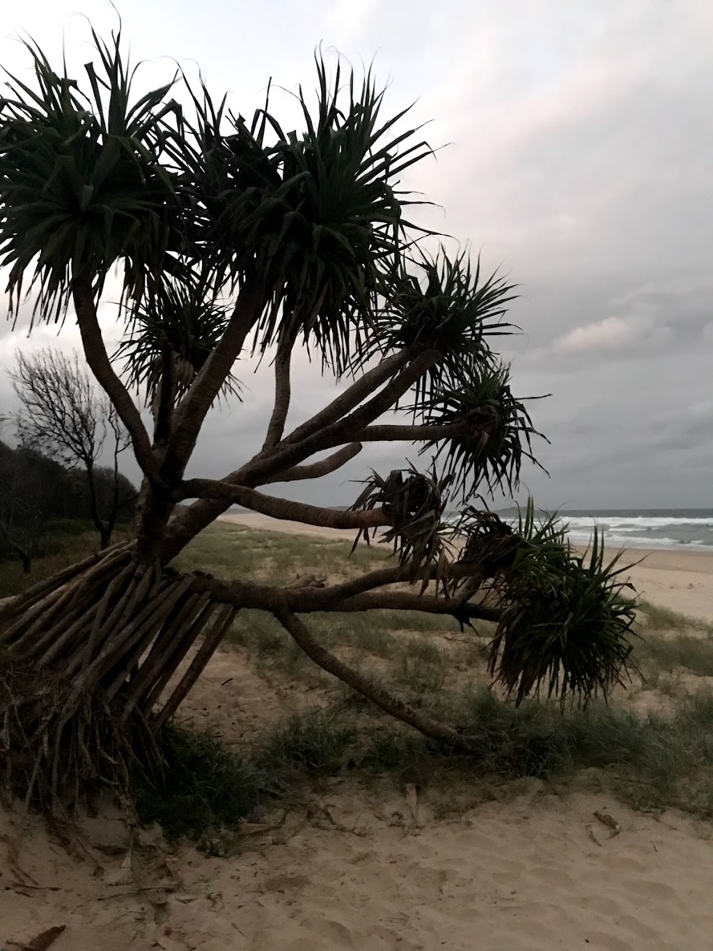 Jack Bayliss Park | Kingscliff NSW 2487, Australia