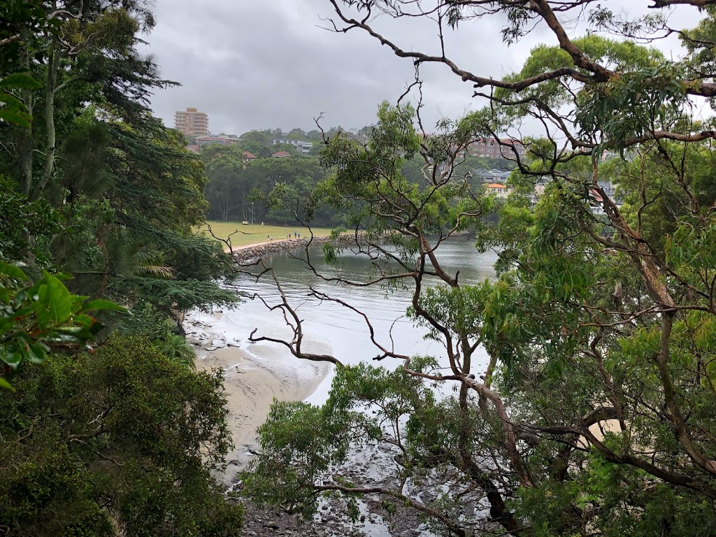 Manly To Spit Bridge Coastal Walk | park | Reef Beach Track, Balgowlah Heights NSW 2093, Australia