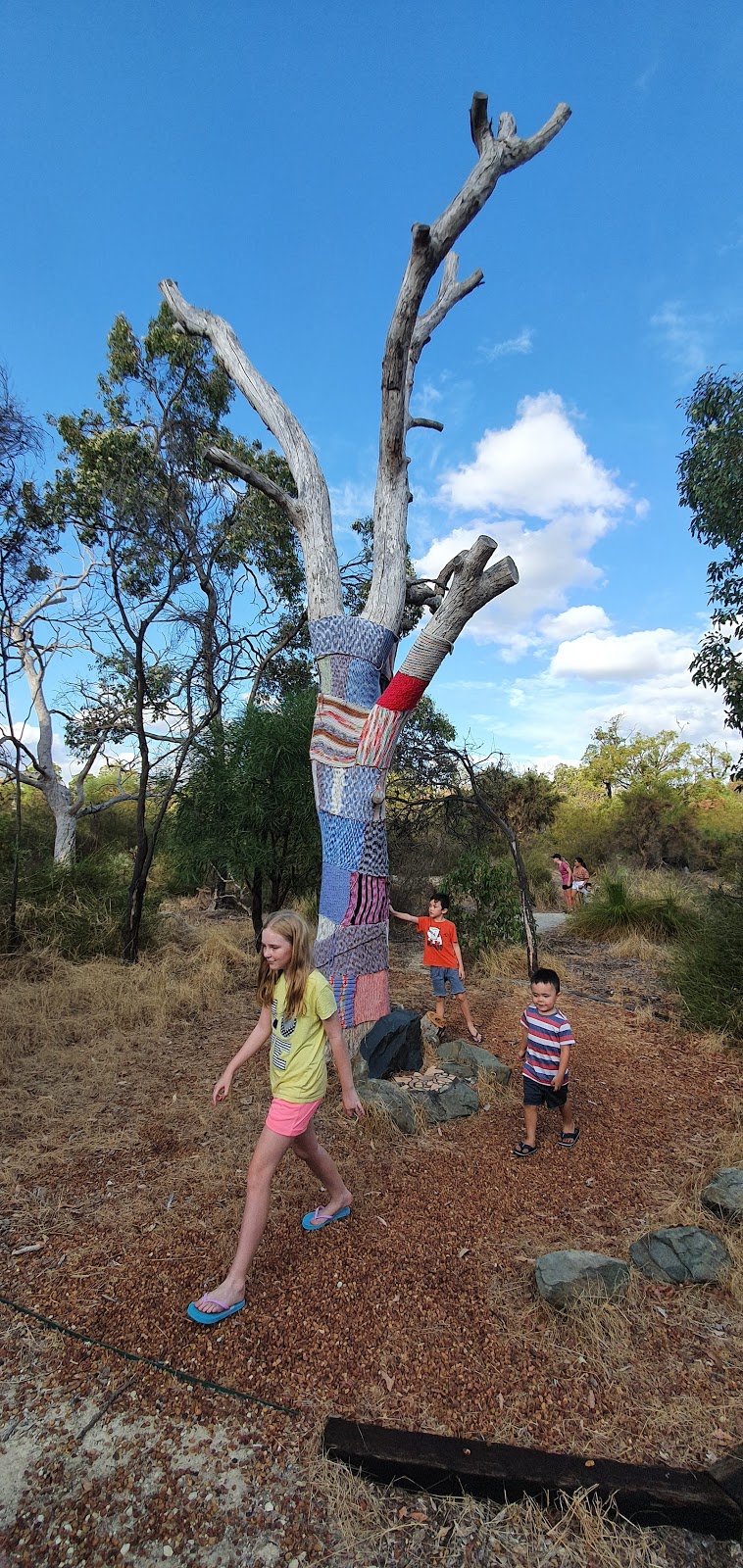 Whiteman Park Childrens Forest | tourist attraction | Whiteman Park, 233a Drumpellier Drive, Whiteman WA 6068, Australia | 0892096000 OR +61 8 9209 6000