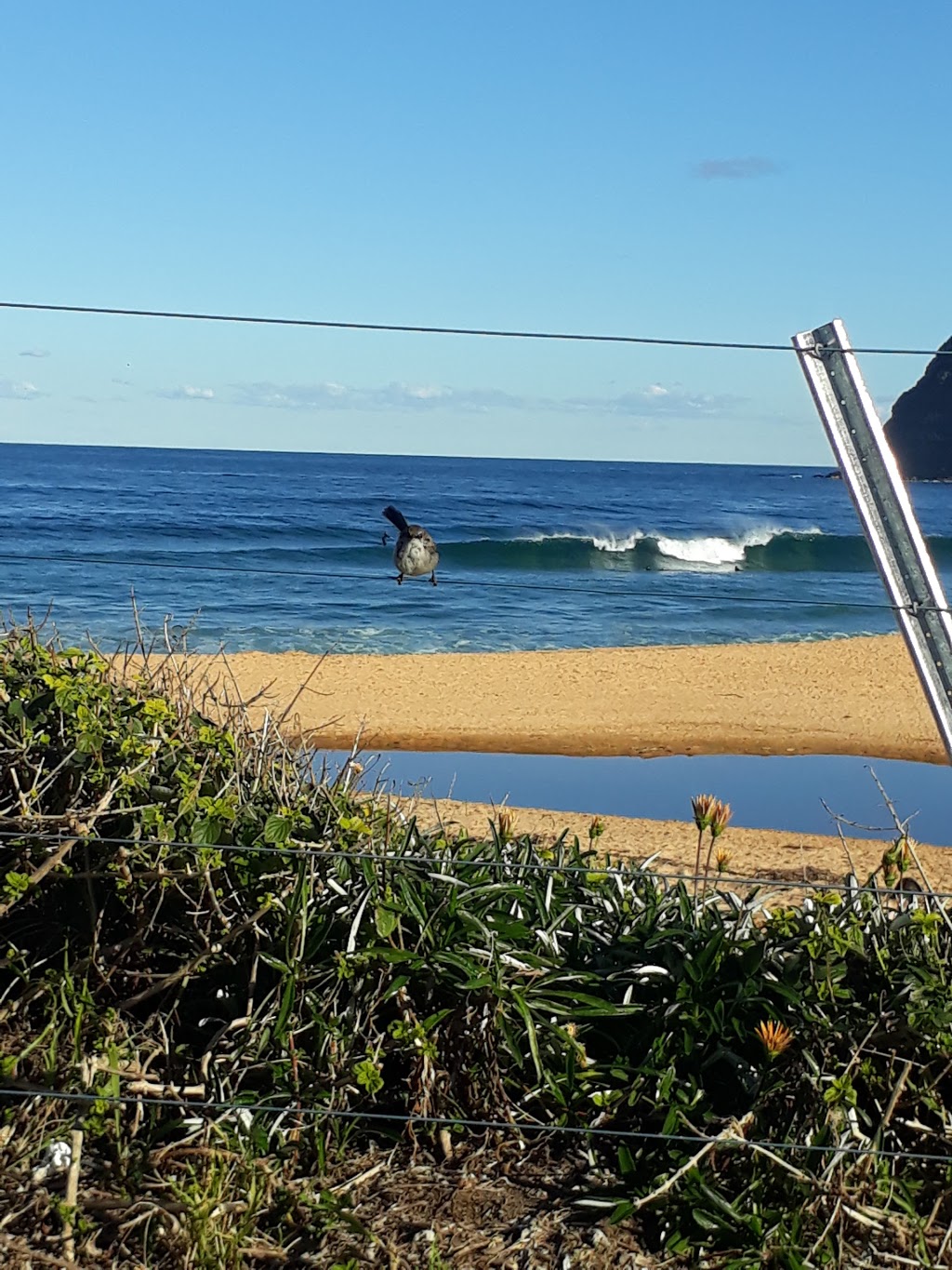 Copacabana Surf Life Saving Club |  | Del Monte Place, Copacabana NSW 2251, Australia | 0243811420 OR +61 2 4381 1420