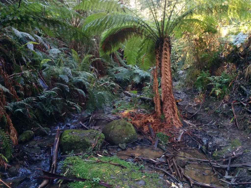 Griffiths Falls | park | 25 Bowen Ave, The Basin VIC 3154, Australia