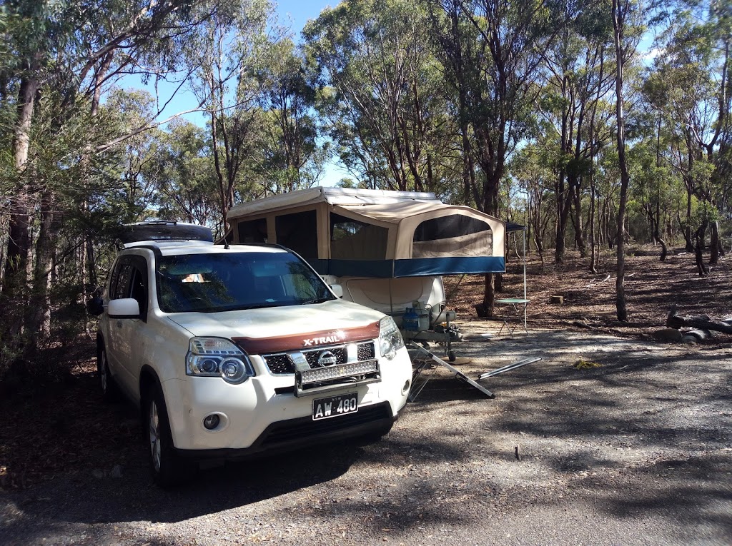 Bungonia campground | Bungonia Access Rd, Bungonia NSW 2580, Australia | Phone: 1300 072 757