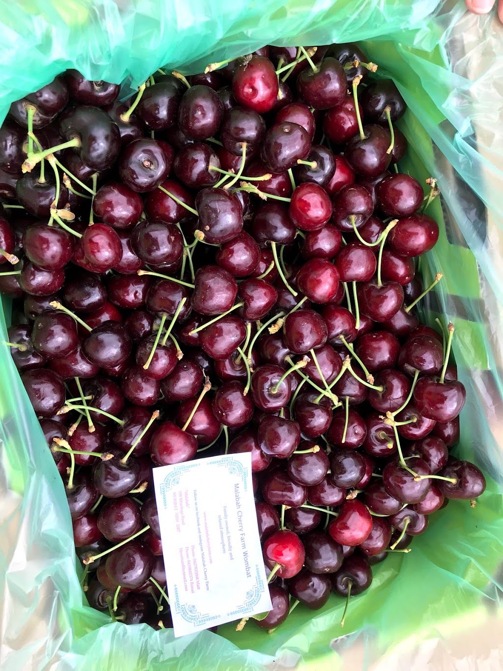 Malabah Cherry Farm Wombat |  | 190 Bibaringa Rd, Wombat NSW 2587, Australia | 0427825868 OR +61 427 825 868