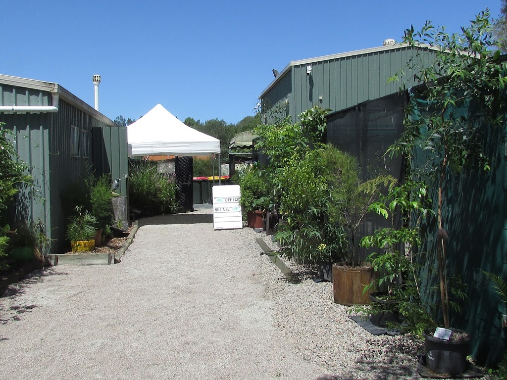 CREEC Nursery | 150 Rowley Rd, Burpengary QLD 4505, Australia | Phone: (07) 3888 9285