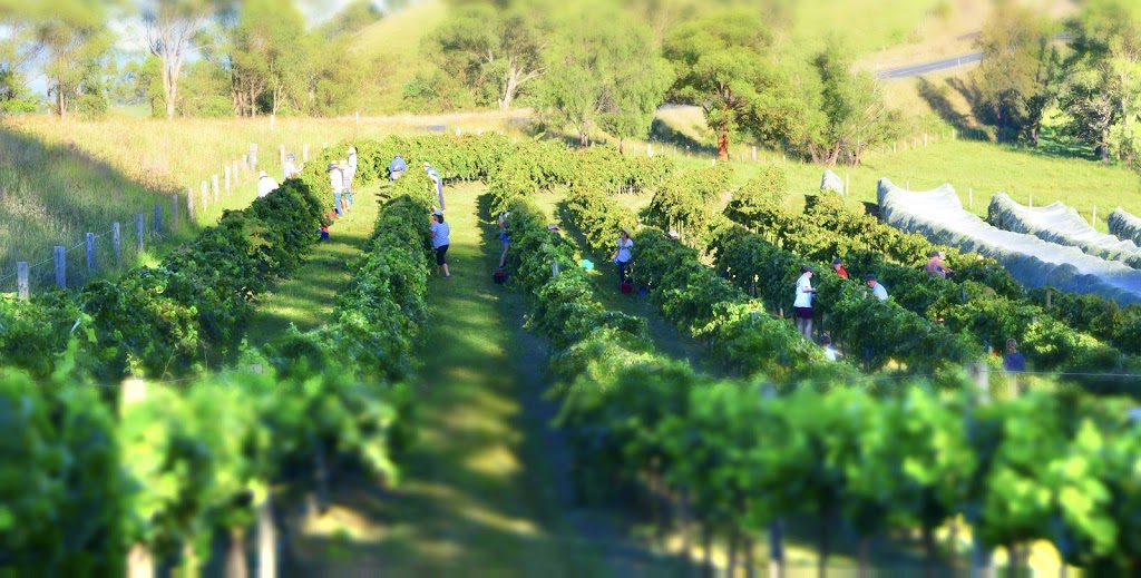 Faulls Ridge Wine | 611 The Bucketts Way, Tugrabakh NSW 2422, Australia | Phone: 0409 121 304