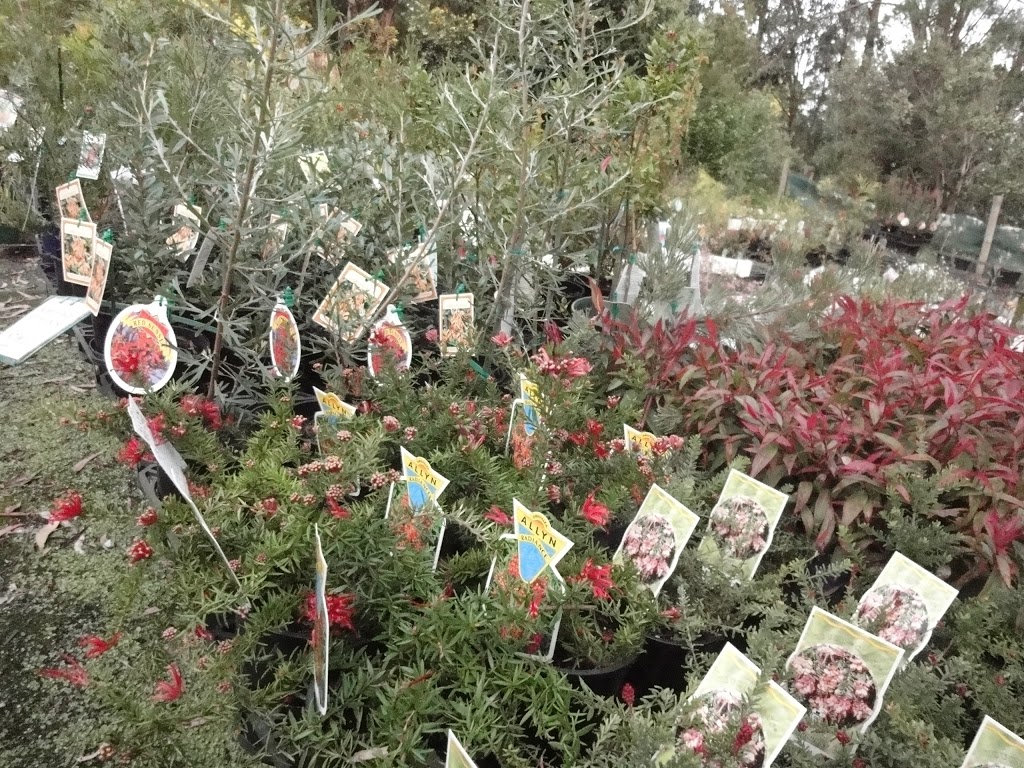 Blue Gum Forest Nursery | 285 Korumburra-Warragul Rd, Korumburra VIC 3950, Australia | Phone: 0408 595 450