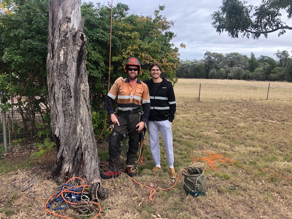 Tabernacle Timber | 4947 Chinchilla Tara Rd, Tara QLD 4421, Australia | Phone: 0423 025 861