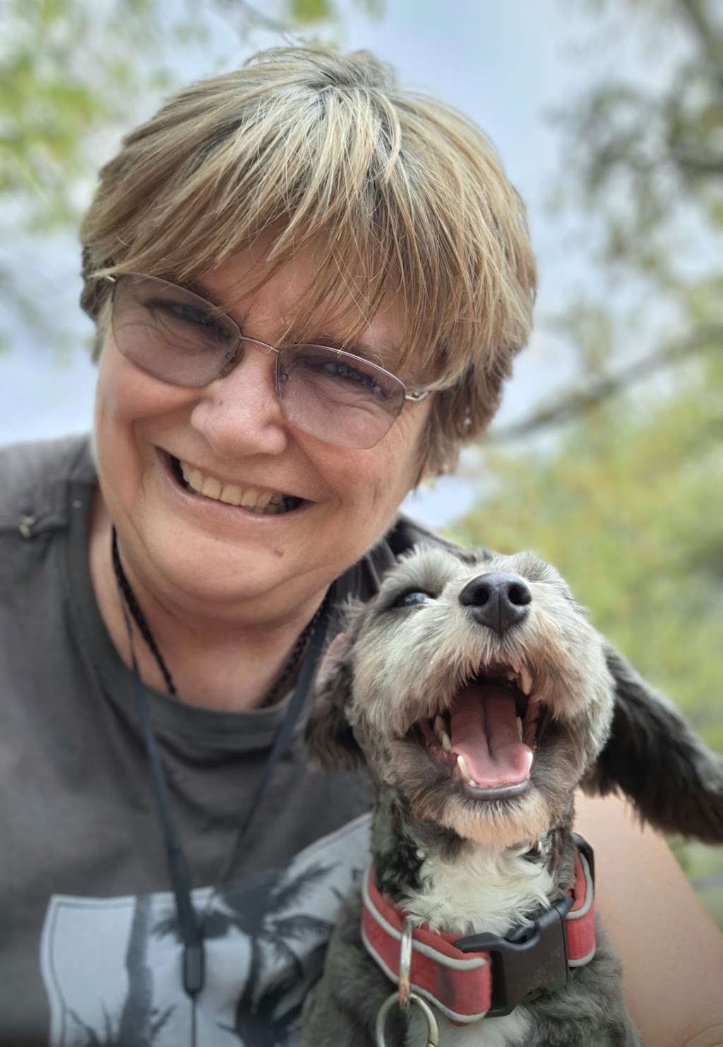 Tumbarumba Paws and Play (Tumbarumba) | 53 Gilbert St, Tumbarumba NSW 2653, Australia | Phone: 0417 202 784