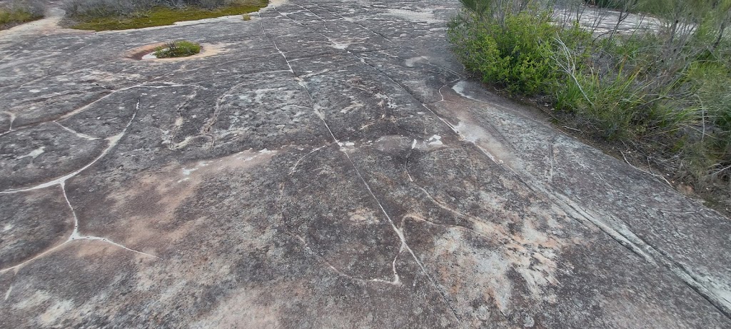 Aboriginal Site Conservation | Ku-Ring-Gai Chase NSW 2084, Australia