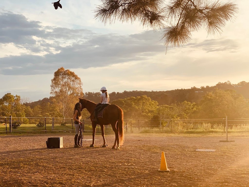 Empress Equine | 88 Kindra Ave, Karana Downs QLD 4306, Australia | Phone: 0423 275 615