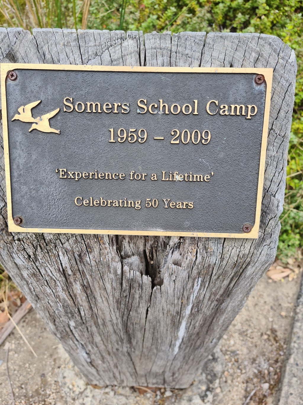 Somers School Camp | point of interest | 124 Lord Somers Rd, Somers VIC 3927, Australia | 0359835302 OR +61 3 5983 5302